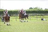 UKPA NC SAT_2448